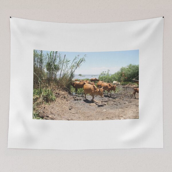Item preview, Cows leaving a lake after drinking water. designed and sold by Jamesk82.