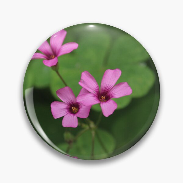 Item preview, Pink Sorrel designed and sold by Hannah Free Photography.
