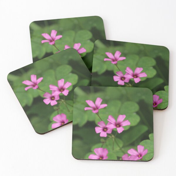 Item preview, Pink Sorrel designed and sold by Hannah Free Photography.