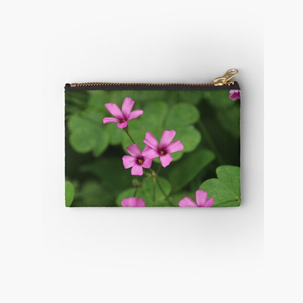 Item preview, Pink Sorrel designed and sold by Hannah Free Photography.