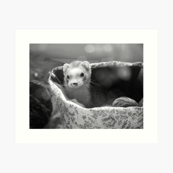 The Light of My Soul Art Print