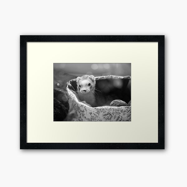 The Light of My Soul Framed Art Print