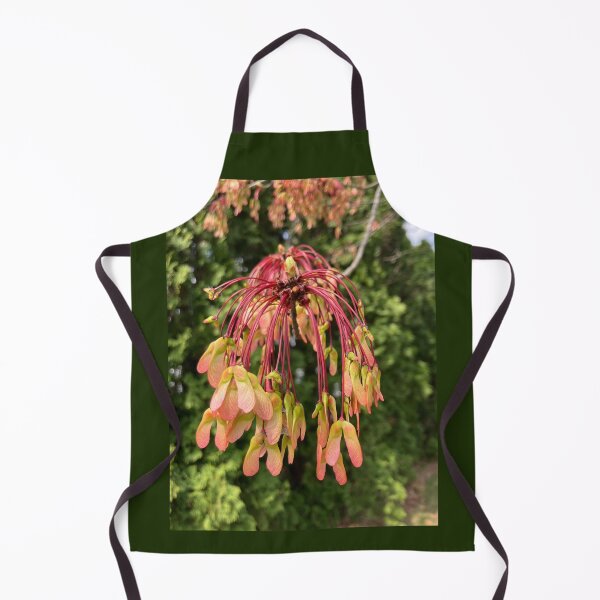 Item preview, Developing Red Maple Seeds  designed and sold by Amanda1775.