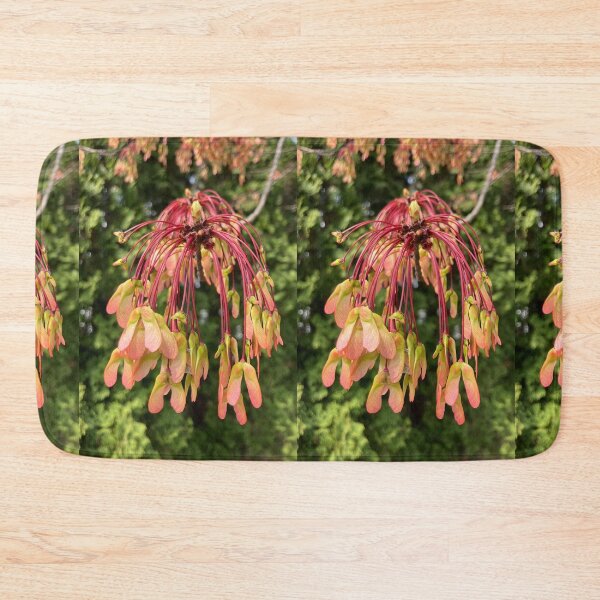 Item preview, Developing Red Maple Seeds  designed and sold by Amanda1775.