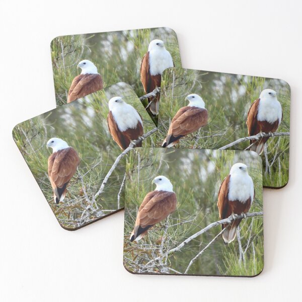 Item preview, Brahminy Kite pair designed and sold by Mark Grimsley.