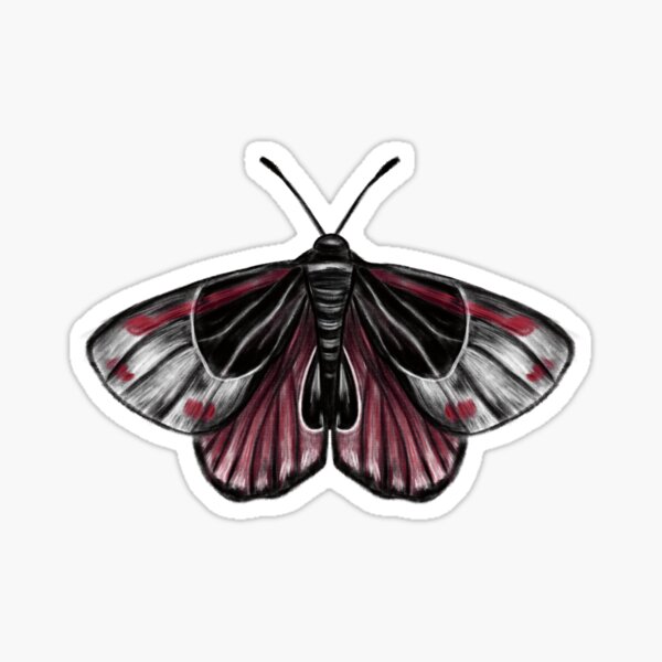 Item preview, Skull Butterfly in Red & Black Concept Art (Version 6) designed and sold by Scarlet Swan.