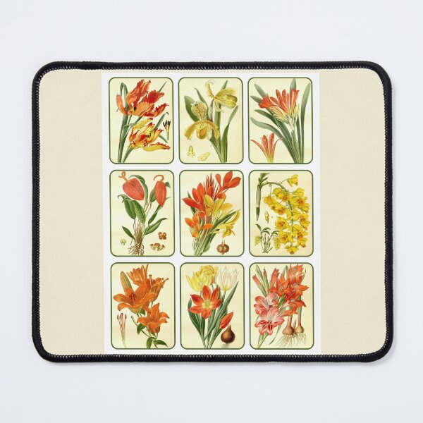 Item preview, Antique Bright Yellow and Orange Flower Collage designed and sold by IrisAndIvy.