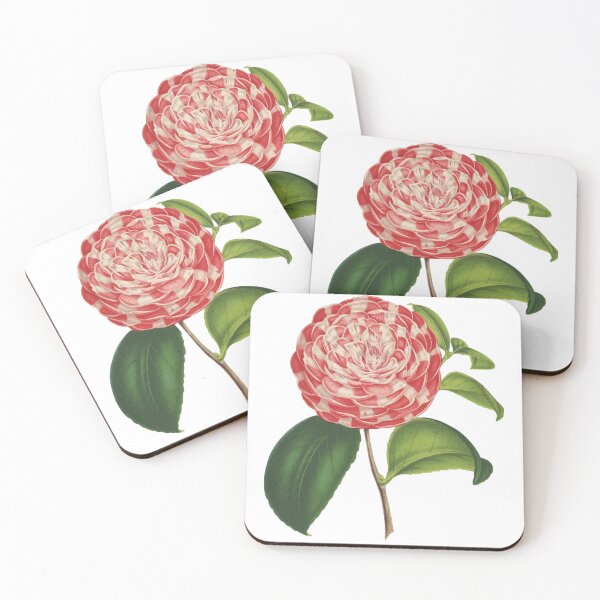 Item preview, Pink and White Camellia Japonica Flower designed and sold by IrisAndIvy.