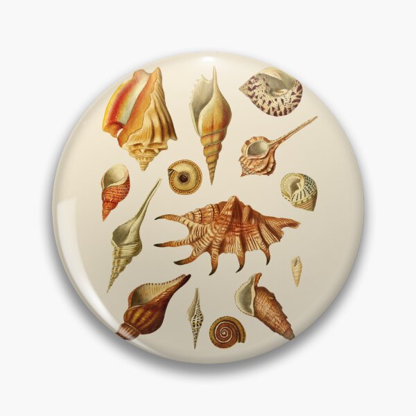 Item preview, Antique Seashell Collection Design designed and sold by IrisAndIvy.