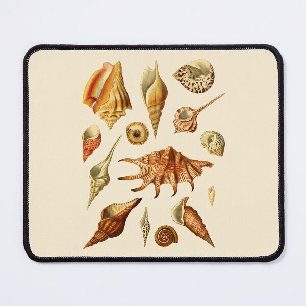 Item preview, Antique Seashell Collection Design designed and sold by IrisAndIvy.