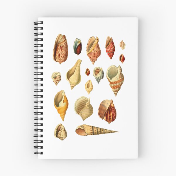 Item preview, Antique Seashell Collection Design designed and sold by IrisAndIvy.