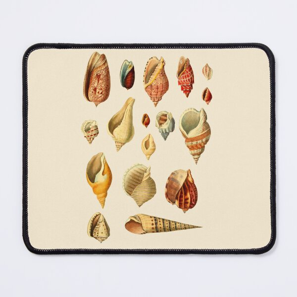 Item preview, Antique Seashell Collection Design designed and sold by IrisAndIvy.