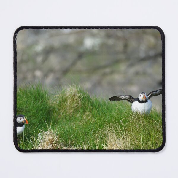 Item preview, Puffins designed and sold by Susan  Watkins.
