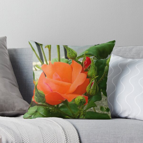 Item preview, Orange Rose........Lyme Dorset UK designed and sold by lynn carter.