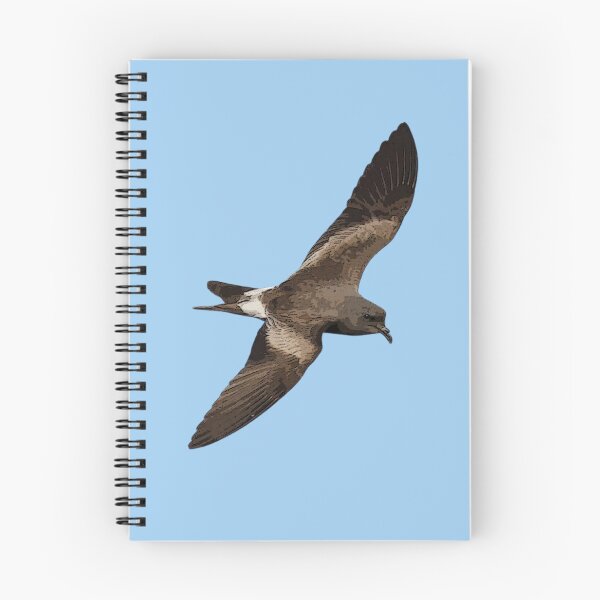 Item preview,  Leach’s Storm-Petrel  Color Design  designed and sold by designsasstultd.