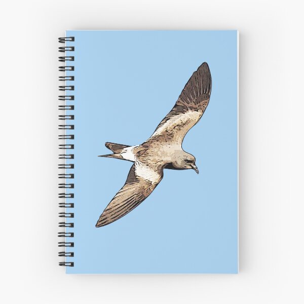 Item preview, Leach’s Storm-Petrel Black Alternate Design  designed and sold by designsasstultd.