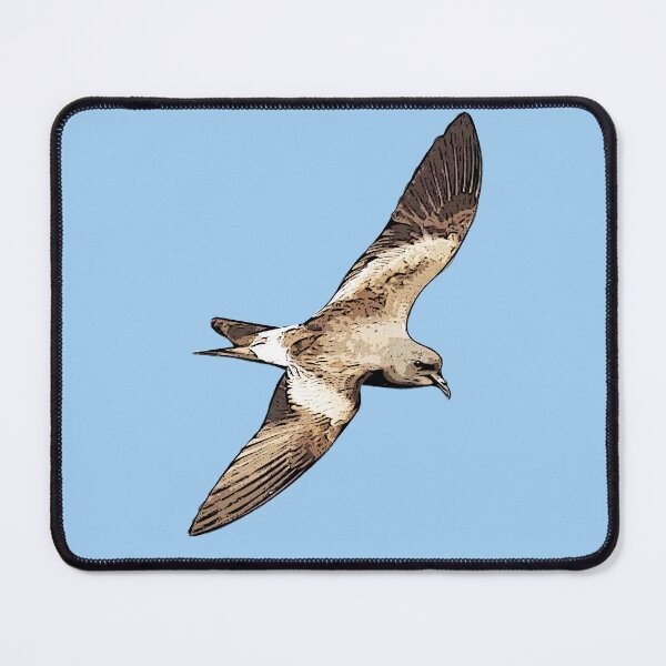 Item preview, Leach’s Storm-Petrel Black Alternate Design  designed and sold by designsasstultd.
