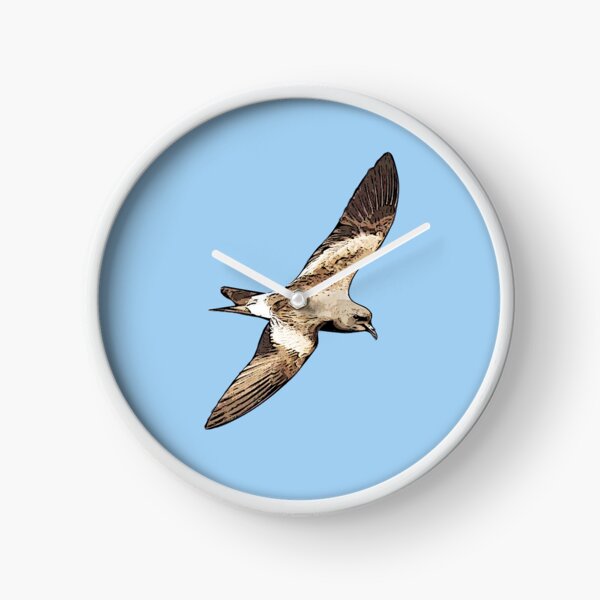 Item preview, Leach’s Storm-Petrel Black Alternate Design  designed and sold by designsasstultd.
