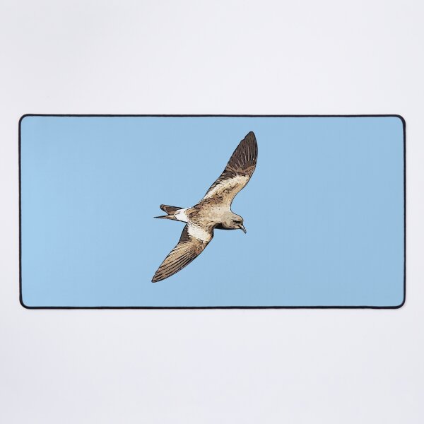 Item preview, Leach’s Storm-Petrel Black Alternate Design  designed and sold by designsasstultd.