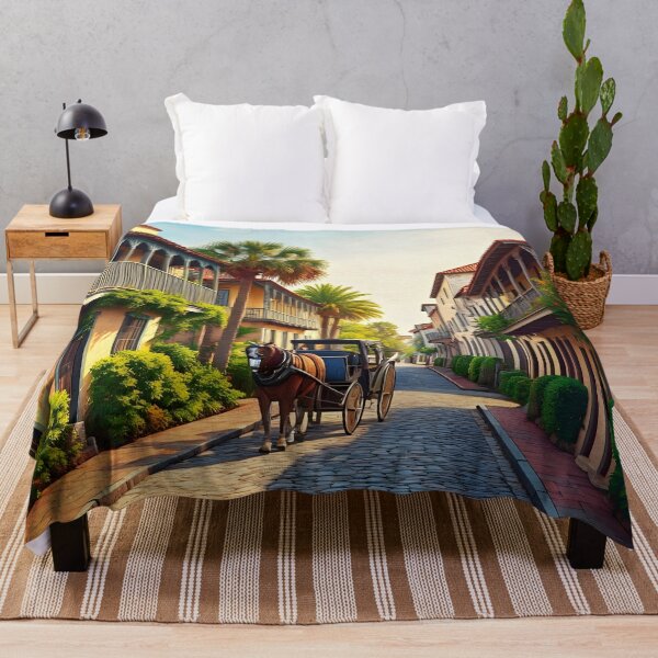 Item preview, St Augustine Historic District: Spanish Colonial Splendor designed and sold by LSVart.