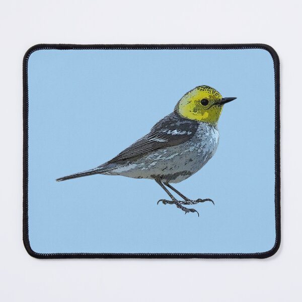 Item preview, Hermit Warbler Color Design  designed and sold by designsasstultd.