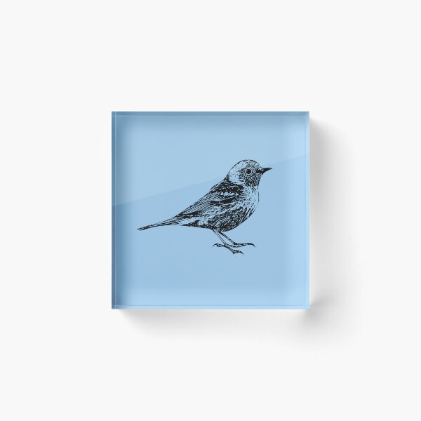 Item preview, Hermit Warbler Black Design  designed and sold by designsasstultd.