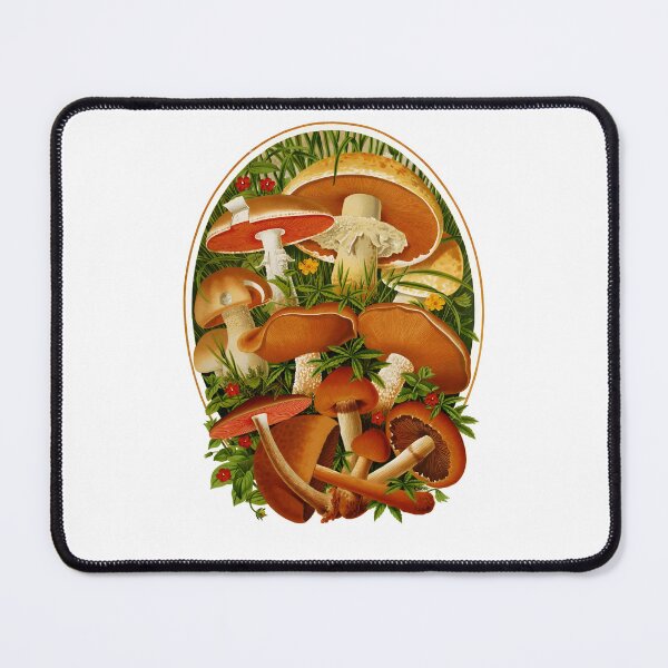 Item preview, Restored Vintage illustration. True, False Mushrooms. 19th Century. designed and sold by Shoot-The-Moon.