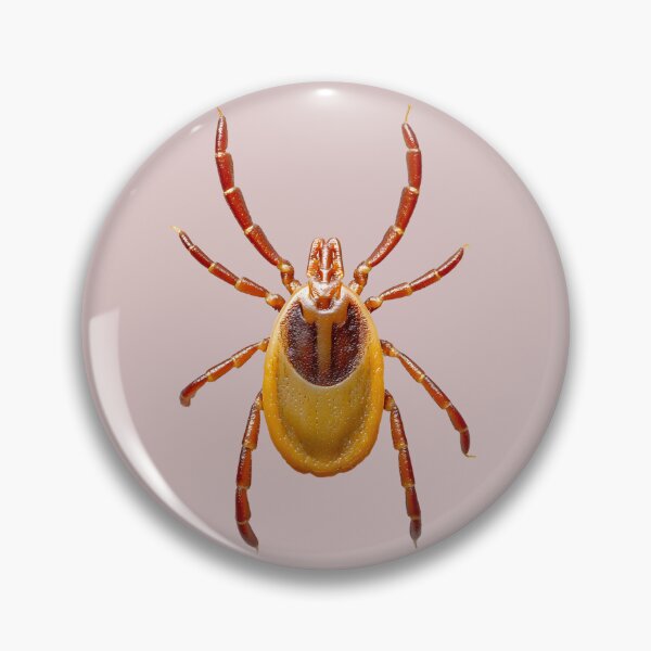Item preview, Lone Star Tick Top View designed and sold by Anastasiia Yurevych.
