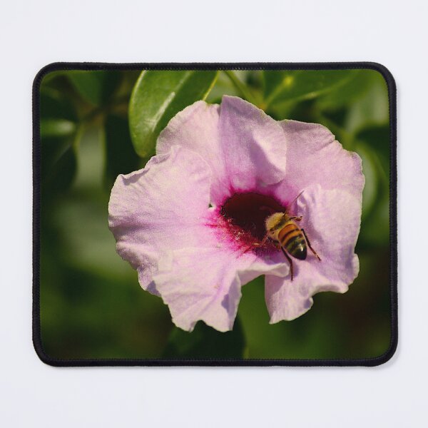 Item preview, Bower Of Beauty And Honeybee designed and sold by MercerImages.