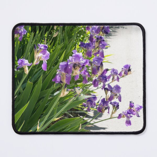 Item preview, Purple Iris Blooms Superabundance designed and sold by Georgia Mizuleva.