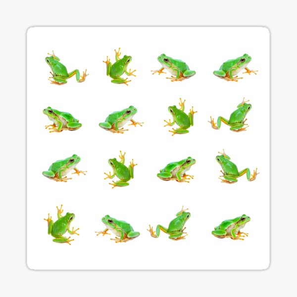 Frogs green pattern textile birthday gift Sticker