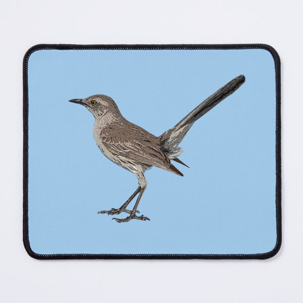 Item preview, Bahama Mockingbird Color Design  designed and sold by designsasstultd.