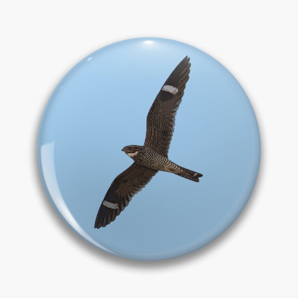 Item preview, Antillean Nighthawk Color Design  designed and sold by designsasstultd.