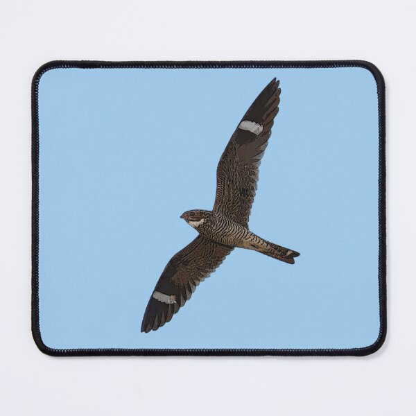 Item preview, Antillean Nighthawk Color Design  designed and sold by designsasstultd.