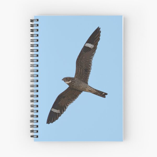Item preview, Antillean Nighthawk Color Design  designed and sold by designsasstultd.