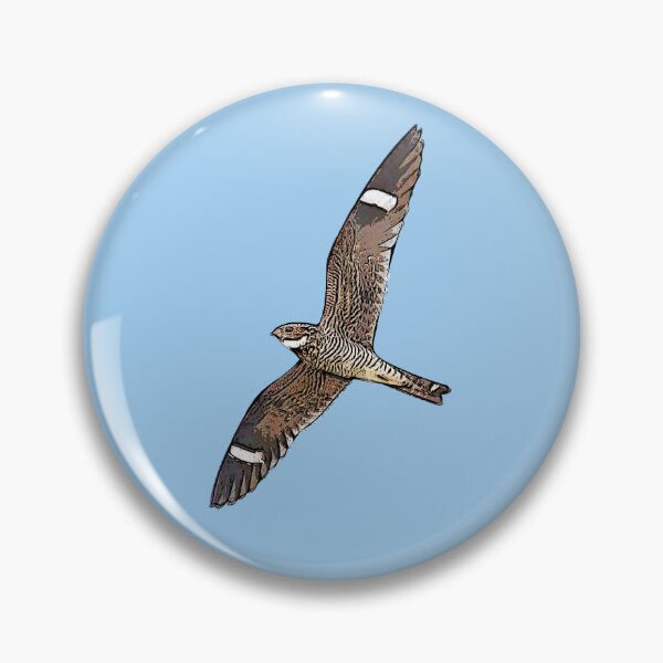 Item preview, Antillean Nighthawk Black Alternate Design  designed and sold by designsasstultd.