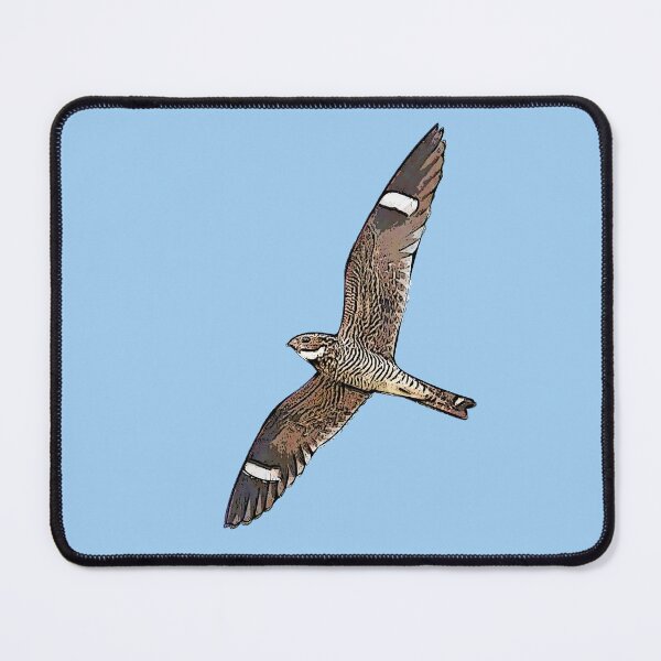 Item preview, Antillean Nighthawk Black Alternate Design  designed and sold by designsasstultd.