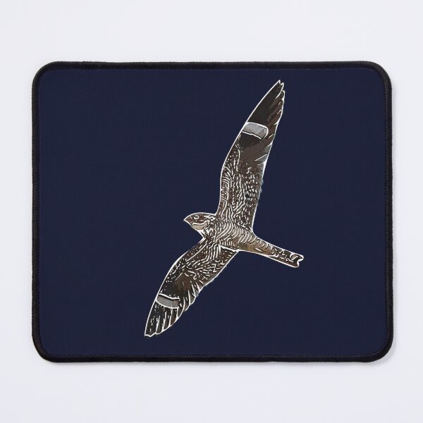 Item preview, Antillean Nighthawk White Alternate Design  designed and sold by designsasstultd.