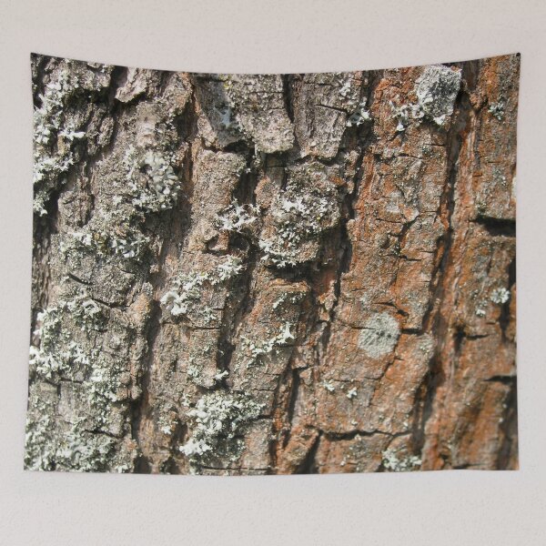 Item preview, Photo close up of wood bark designed and sold by PM-Artistic.