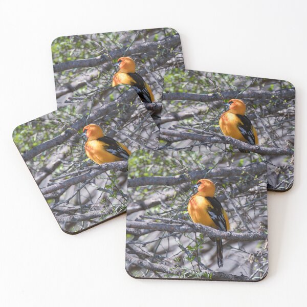 Item preview, Altamira Oriole Side Portrait designed and sold by Debra Martz.
