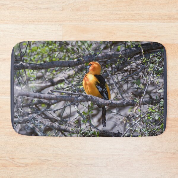 Item preview, Altamira Oriole Side Portrait designed and sold by Debra Martz.