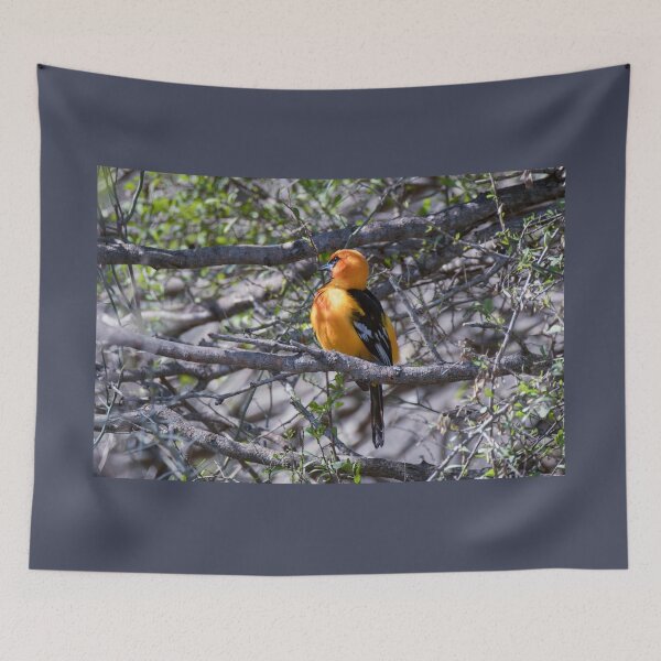 Item preview, Altamira Oriole Side Portrait designed and sold by Debra Martz.