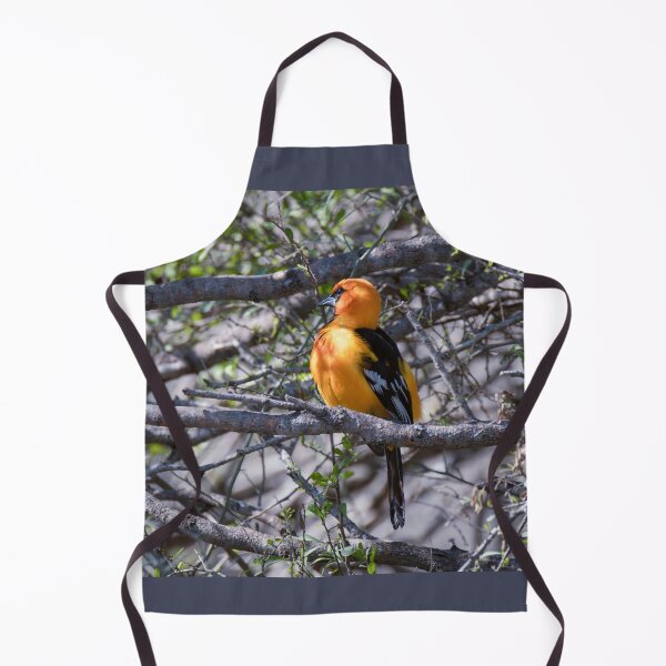 Item preview, Altamira Oriole Side Portrait designed and sold by Debra Martz.