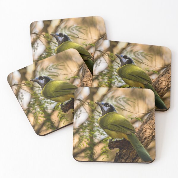 Item preview, Unmistakable Green Jay In Its Texas Range designed and sold by Debra Martz.