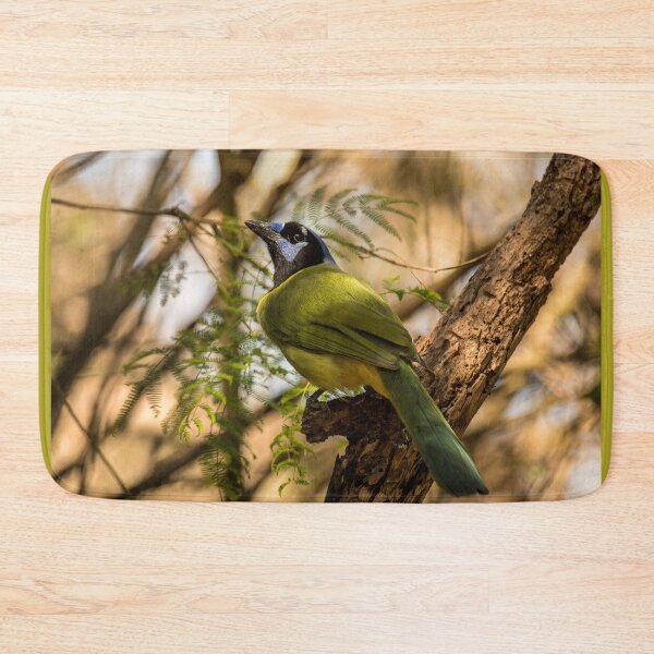 Item preview, Unmistakable Green Jay In Its Texas Range designed and sold by Debra Martz.