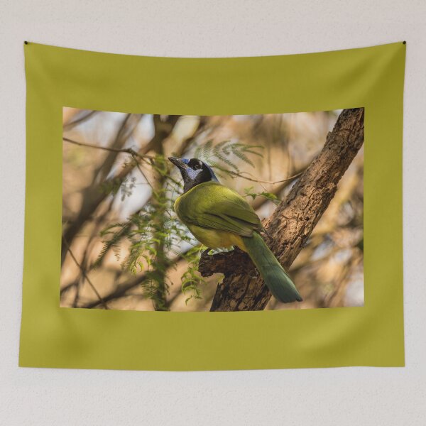 Item preview, Unmistakable Green Jay In Its Texas Range designed and sold by Debra Martz.