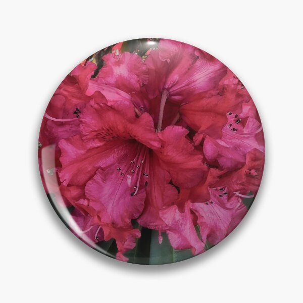 Item preview, Shyness designed and sold by Steve Walser.