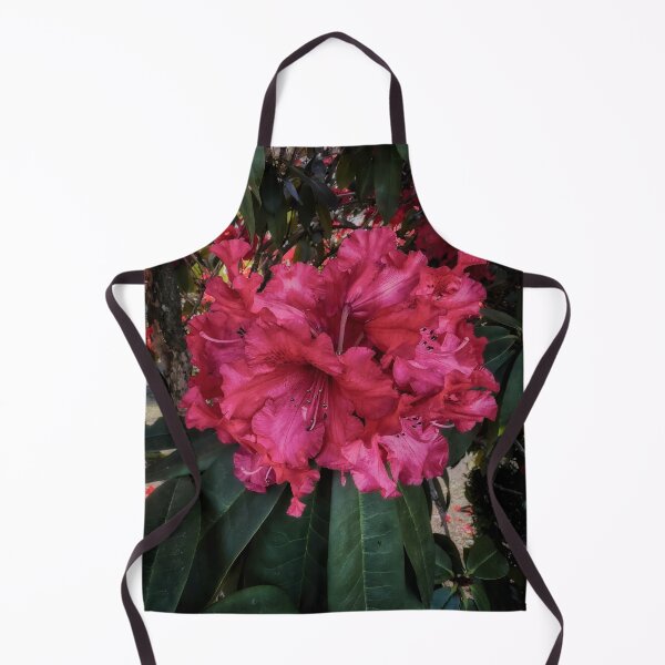 Item preview, Shyness designed and sold by Steve Walser.