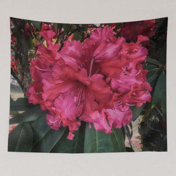Item preview, Shyness designed and sold by Steve Walser.