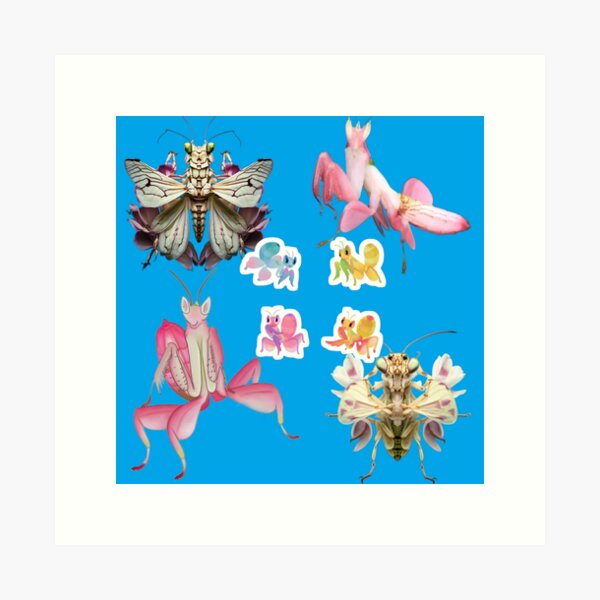 Item preview, ??gowakxl? hprsfn?orchid? mantis?orchid? mantis?orchid? mantis?orchid? mantis?orchid? mantis?orchid? mantis?orchid? mantis??? designed and sold by daisukicos.